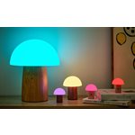 Alice Mushroom Lamps