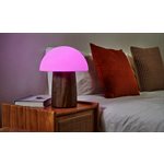 Grande Lampe Champignon Alice-Noyer