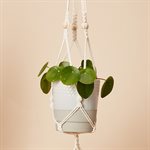 Calm Club Hang Time macramé plant pot hanger