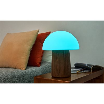 Grande Lampe Champignon Alice-Noyer