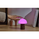 Mini Alice Mushroom Lamp-Walnut