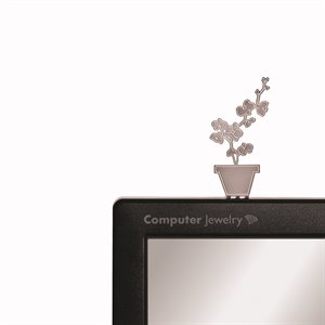 Computer Jewelry
