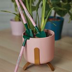 Mini Outils pour Plantes