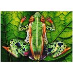 Johannes Stotter Frog Body Art Puzzle