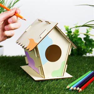 DIY Bird House 