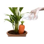 Care-It Self-watering device 